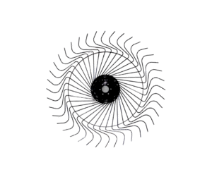 Rake Wheel Complete