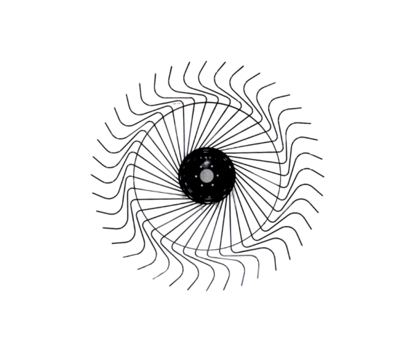 Rake Wheel Complete